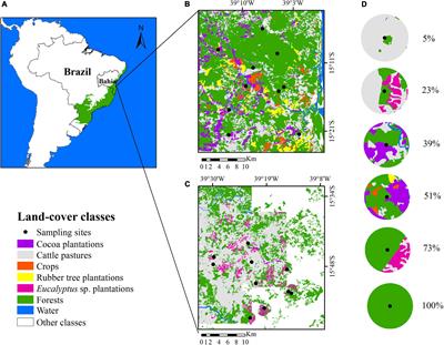 Deforestation Simplifies Understory Bird Seed-Dispersal Networks in Human-Modified Landscapes